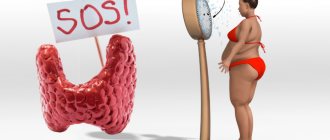 6 гормонов в вашем теле, которые нужно перезагрузить, чтобы ускорить потерю лишнего веса