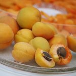абрикосовые косточки