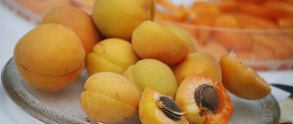 абрикосовые косточки