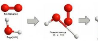 Активный кислород и его опасность для организма человека