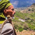 Al-Mukha или просто Мокко