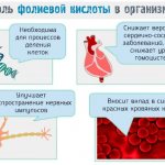 Арахисовая паста. Калорийность 1 чайная, столовая ложка, на 100 грамм, бжу без сахара. Рецепт ПП