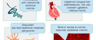 Арахисовая паста. Калорийность 1 чайная, столовая ложка, на 100 грамм, бжу без сахара. Рецепт ПП