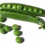 бобовые культуры список