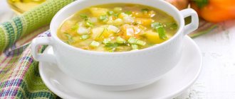 боннский суп