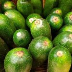 Быстрые и вкусные диетические рецепты кабачков, запеченных в духовке