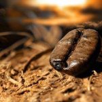 Чай и кофе история легенды традиции проект