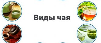 Чай с молоком: чёрный, зелёный, улун. Калорийность на 100 грамм, без сахара, как употреблять на диете