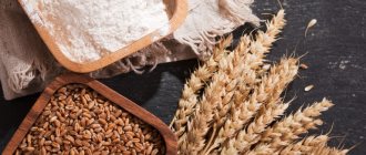 Чем полезна пшеница? Польза и вред для организма