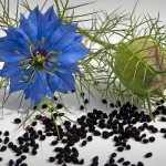 Черный тмин