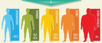 Что такое ИМТ, как рассчитать ИМТ и что это значит?
