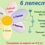 Диета «6 лепестков». Меню на каждый день, подробно на неделю с указанием времени, порций. Рецепты блюд и результаты
