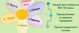 Диета «6 лепестков». Меню на каждый день, подробно на неделю с указанием времени, порций. Рецепты блюд и результаты
