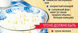 Диетические блюда из творога для похудения. Рецепты с фото и калориями