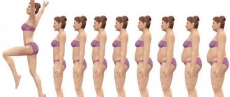 Диеты на неделю: минус 10 кг за 7 дней в домашних условиях