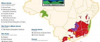 фото карты с регионами производства кофе в Бразилии