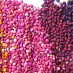 фото с сайта www.beautydaily.ru