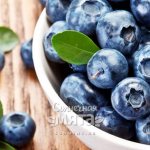 Голубика полезная ягода, «бьющая в голову»