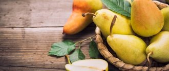 горка спелых груш в корзинке с листвой