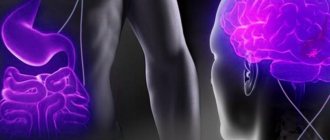 гормоны и чувство голода