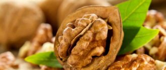 Грецкий орех