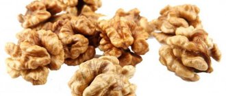 грецкий орех