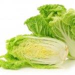 Характеристика пекинской капусты