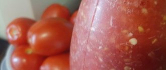 Хреновина русская - жгучая и вкусная... (польза и вред)