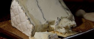 Изображение сыра с темной плесенью