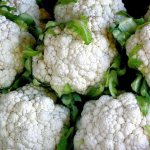 Качаны цветной капусты