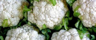 Качаны цветной капусты