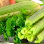 Как и сколько варить сельдерей