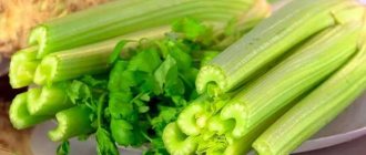 Как и сколько варить сельдерей