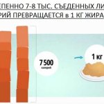 Как рассчитать калории на день для набора мышечной массы, похудения, поддержания веса. Калорийность продуктов, готовых блюд