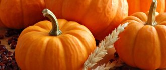 Как запечь тыкву в духовке кусочками с медом, сахаром, корицей в фольге. Рецепты пошагово с фото