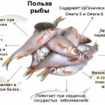 Какая самая полезная для организма