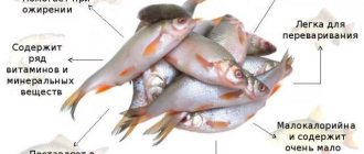 Какая самая полезная для организма