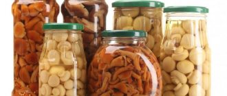 Калорийность маринованных грибов и вкусные рецепты