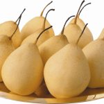 Китайская груша: польза и вред для организма, противопоказания