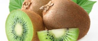 Киви. Калорийность на 100 грамм, 1 шт., польза и вред фрукта, как употреблять