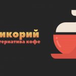 Корень цикория: полезная альтернатива кофе