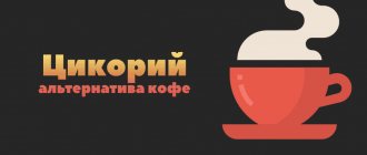 Корень цикория: полезная альтернатива кофе