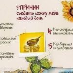 Корица с медом для похудения. Как приготовить, сколько дней пить, рецепт, отзывы похудевших