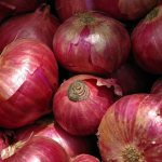 Красный лук