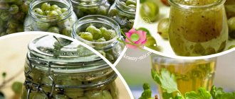 Крыжовник - заготовки на зиму