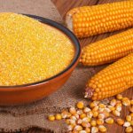 Кукурузная крупа. Польза и вред для организма, калорийность, рецепты блюд, как варить, что приготовить