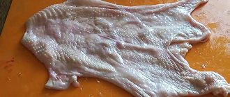 Куриная кожа. Польза и вред, калорийность на 100 грамм, бжу