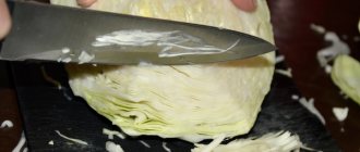 Квашеная капуста. Калорийность на 100 грамм для похудения, белки, жиры, углеводы, с растительным маслом и без