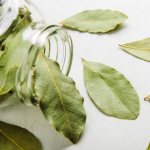 лавровый лист для похудения