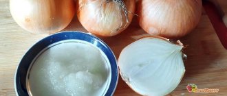 лечебные свойства репчатого лука